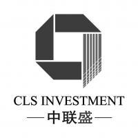 中聯(lián)盛國(guó)際投資控股