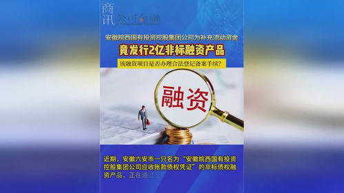 安徽皖西國(guó)有投資控股集團(tuán)公司為補(bǔ)充流動(dòng)資金竟發(fā)行2億非標(biāo)融資產(chǎn)品