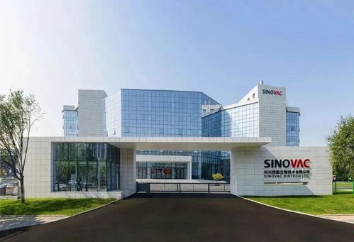 中國藥企出海動態(tài) 跨國交易與投資控股趨勢分析